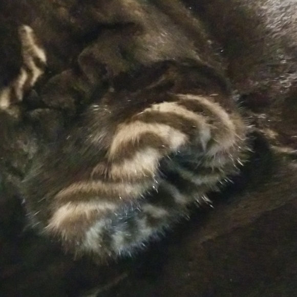 Reversible, Ranch Mink/Water Repellant Nylon Coat - Picture 5 of 9